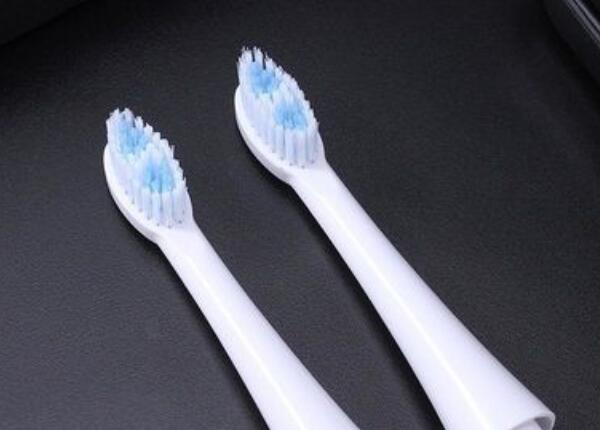 電動(dòng)牙刷頭 電動(dòng)牙刷頭什么價(jià)格比較合適