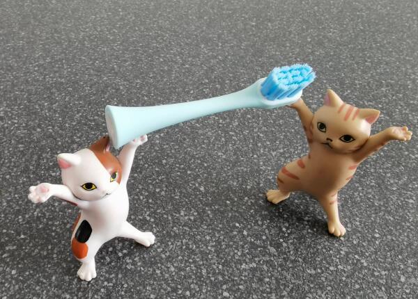 兒童電動(dòng)牙刷頭如何選擇？?jī)和妱?dòng)牙刷頭選購(gòu)要點(diǎn)